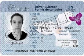 What is the importance of the driver's license eye test?