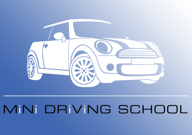 Mini Driving School